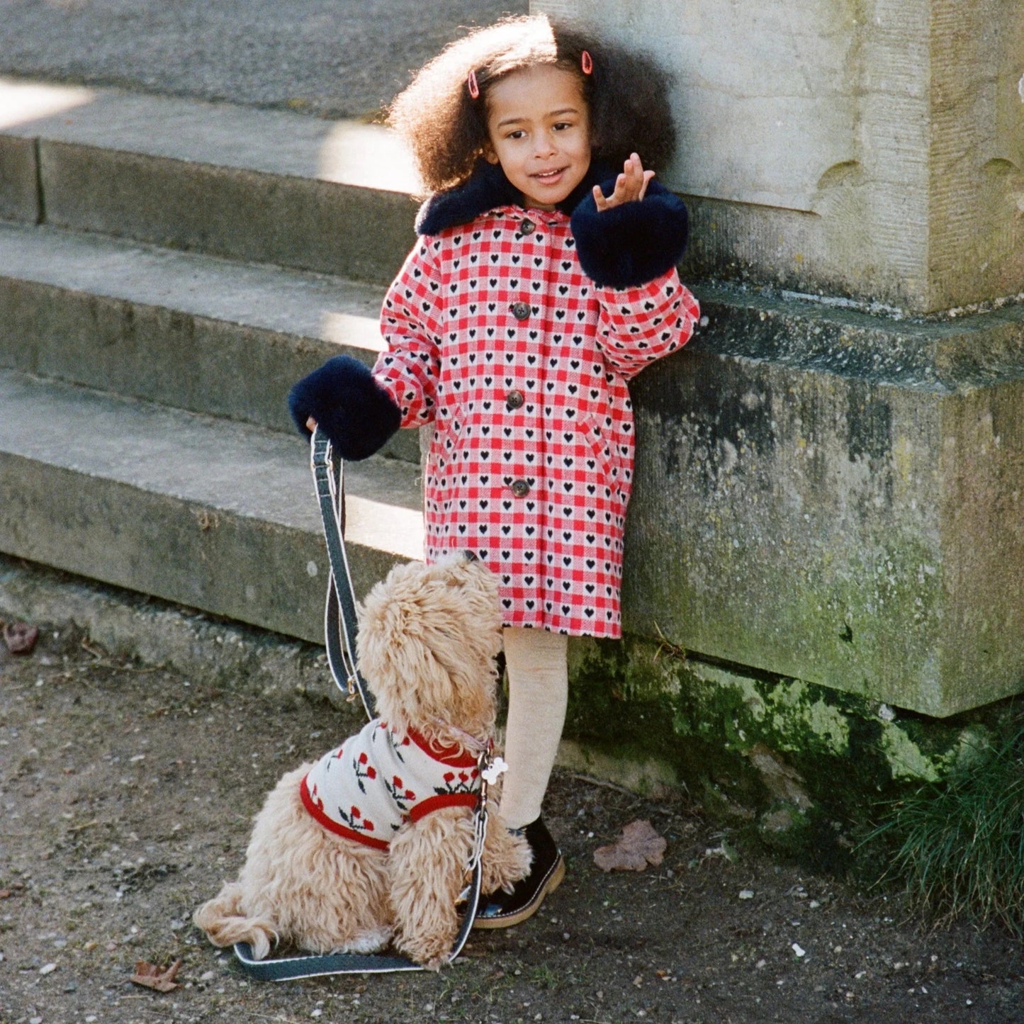 Knit dog vest - Cherry