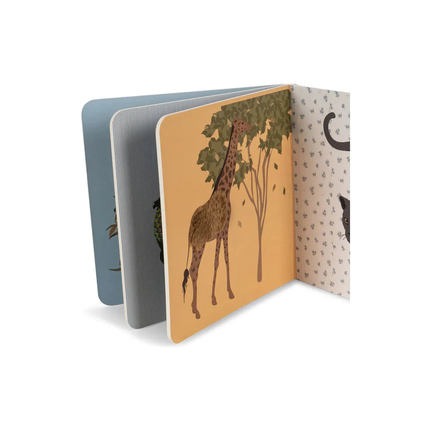 Libro touch and feel - Safari FSC